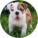 Jessica Holden Avatar